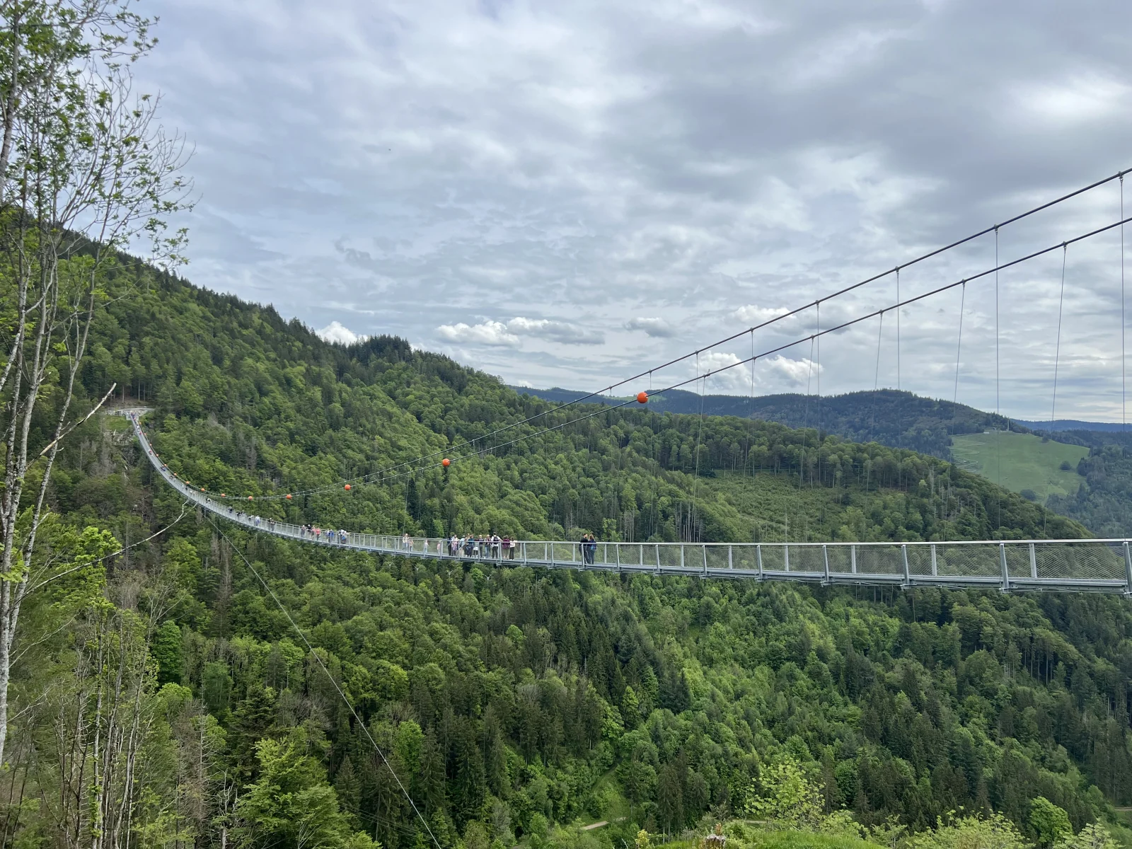 Die Brücke